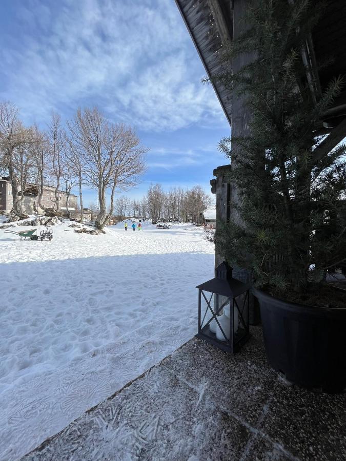Chalet Burja At Vogel Mountain - Cable Car Access Or Hiking - Not Reachable With Car Бохинь Экстерьер фото